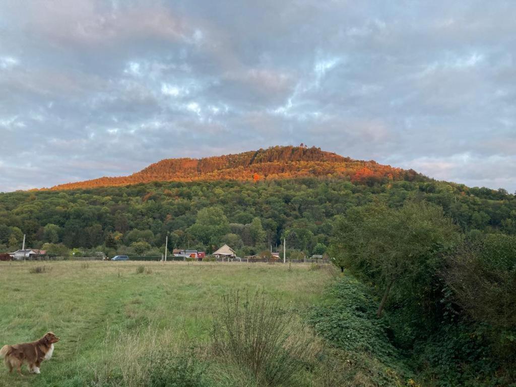 Jena Paradies Buitenkant foto